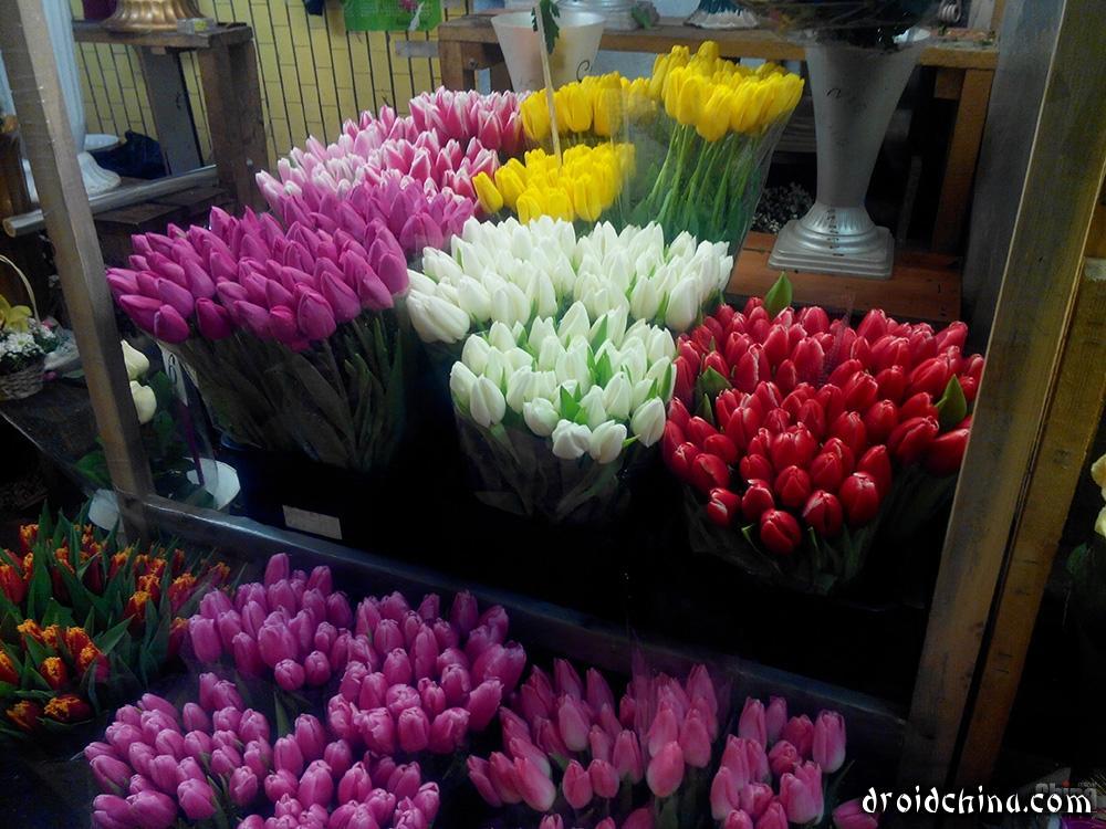 flowers via globus